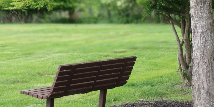 A brown wooden bench sits beneath a tree in a grassy park.